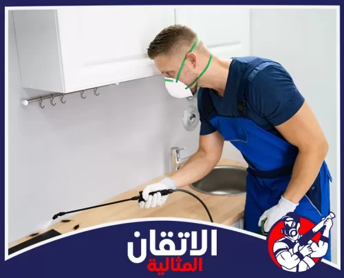 شركة مكافحة الحشرات في الأحساء 0567008659 اتقان المثاليه فني مكافحة حشرات يرش نقاط الإصابة داخل المطبخ بدقة عالية.