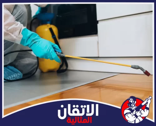 شركة مكافحة الحشرات في الأحساء 0567008659 اتقان المثاليه رش موجه أسفل الخزائن لمعالجة أماكن اختباء الحشرات داخل المطبخ.