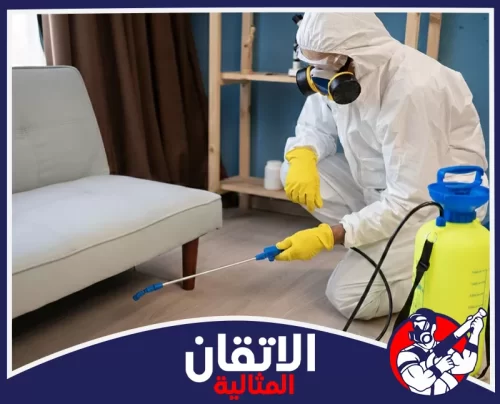 شركة مكافحة الحشرات في الأحساء 0567008659 اتقان المثاليه مكافحة حشرات داخلية باستخدام بخاخ مخصص ومعدات وقاية كاملة.