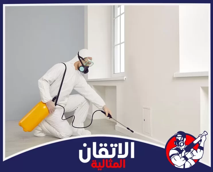 شركة مكافحة الحشرات بالاحساء