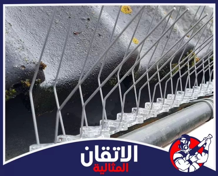 شركة تركيب طارد حمام في الخبر