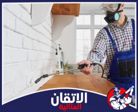 شركة مكافحة الحشرات في الدمام