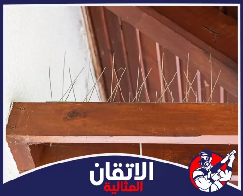 تركيب طارد حمام للأسطح والأسوار بالجبيل 0567008659 شركة أتقان المثالية تركيب أشواك طارد الحمام على الحواف الخشبية والنوافذ لمنع تعشيش الطيور