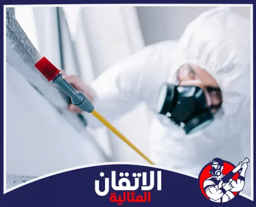 مكافحة النمل الأبيض بالقطيف 0567008659 الأتقان المثالية فني يرتدي بدلة وقناع حماية يرش المبيدات على الأسطح الخارجية لمنع الحشرات والآفات في القطيف بشكل آمن وفعال.