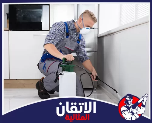 مكافحة الصراصير بالقطيف 0567008659 الأتقان المثالية فني يرتدي قناع حماية يستخدم جهاز رش مبيدات لعلاج الحشرات على طول الجدار داخل منزل بالقطيف لضمان القضاء الكامل على الصراصير والنمل.