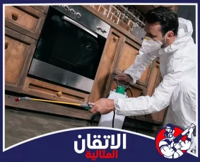 شركة مكافحة الحشرات في القطيف