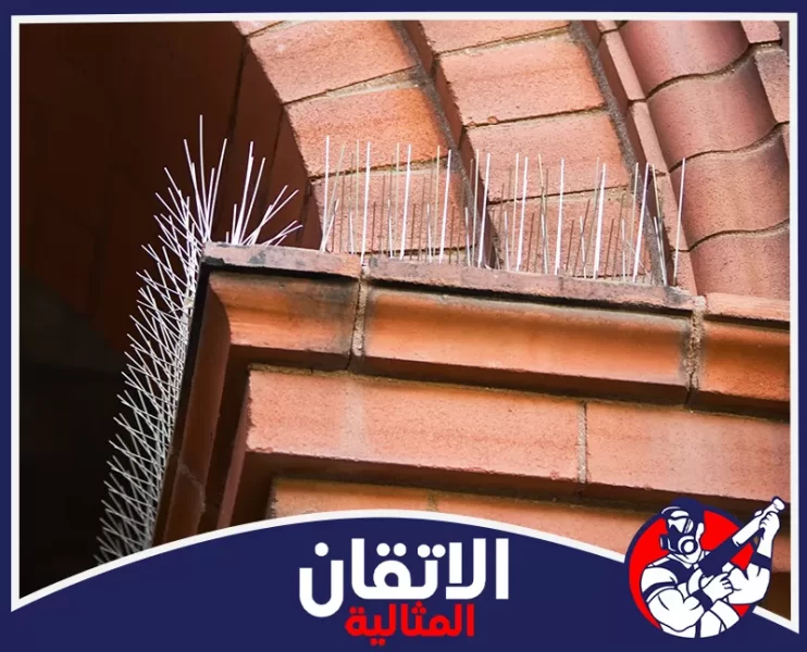 شركة تركيب طارد حمام في القطيف