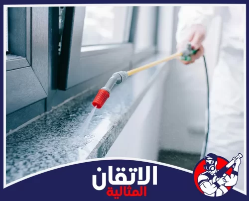 مكافحة الزواحف في الجبيل 0567008659 شركة أتقان المثالية استخدام مضخة يدوية لرش السوائل المطهرة على عتبة النافذة لمكافحة الآفات المنزلية.