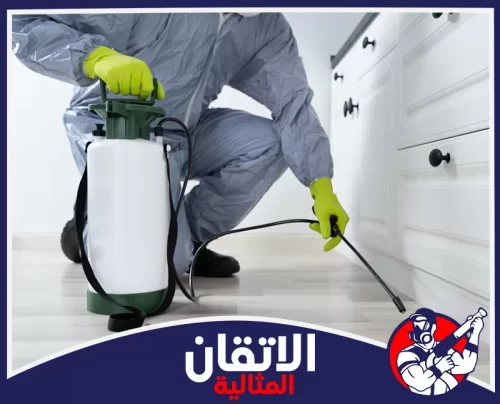 مكافحة النمل الأبيض بالخبر 0567008659 شركة أتقان المثالية خدمات مكافحة الحشرات المنزلية؛ استخدام معدات احترافية لرش الزوايا الضيقة بدقة وأمان تام