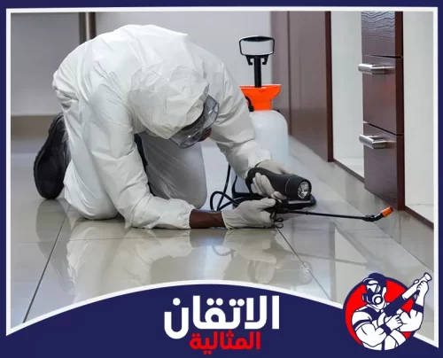 مكافحة النمل الأبيض بالظهران 0567008659 شركة أتقان المثالية عملية رش مبيدات دقيقة واحترافية في زوايا المنزل المظلمة