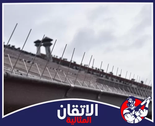 تركيب شبك مانع الحمام 0567008659 الأتقان المثالية أشواك ستانلس ستيل مثبتة على حافة سطح لمنع وقوف الطيور في القطيف، جزء من تركيب طارد الحمام الفعال.