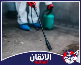 شركة مكافحة الحشرات في الظهران