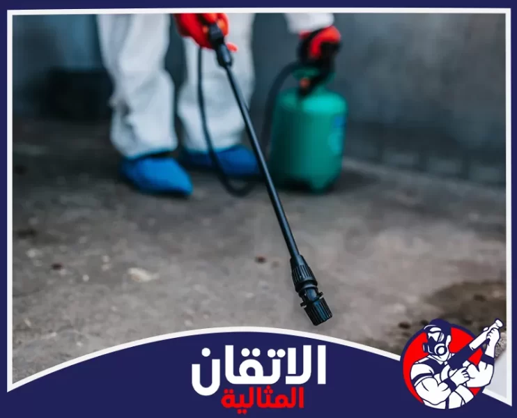 شركة مكافحة الحشرات في الظهران