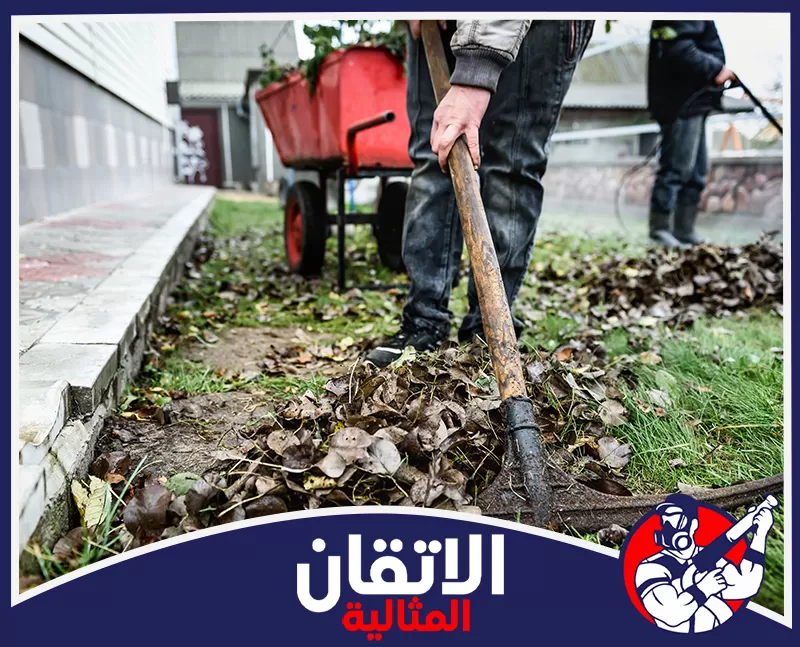 شركة تنظيف الحوش بالدمام 0567008659 شركة أتقان المثالية شخص يجمع كومة أوراق خريف جافة بمذراة، وعربة يد حمراء في الخلفية، في لقطة مقربة تُبرز العمل اليدوي.