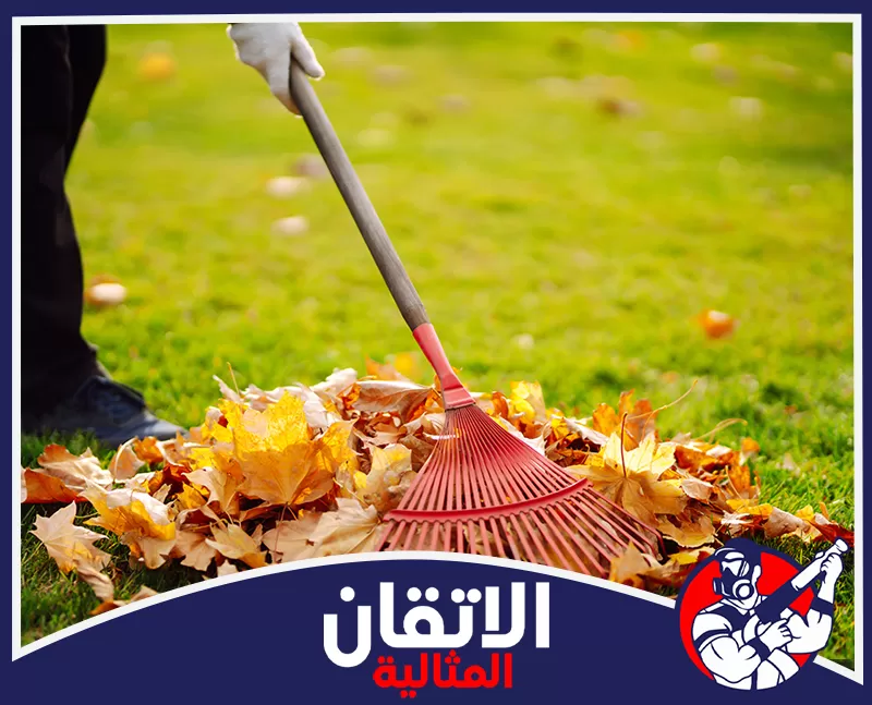 شركة تنظيف أحواش بالظهران 0567008659 شركة أتقان المثالية شخص يرتدي قفازاً ويستخدم مكنسة حدائق حمراء لجمع أوراق الخريف الذهبية المتساقطة فوق عشب أخضر