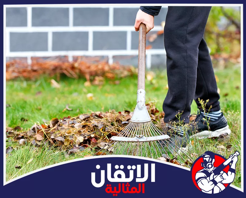 تنظيف الحوش من الغبار والأتربة بالدمام 0567008659 شركة أتقان المثالية شخص يرتدي ملابس رياضية سوداء ويقوم بكنس ولمّ أوراق الخريف المتساقطة في الحديقة