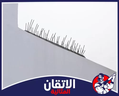 تركيب الشرائح الشوكية لطرد الحمام بالدمام 0567008659 اتقان المثالية أشواك طارد الحمام مثبتة أعلى سور في الدمام لمنع تجمع الطيور وحماية المكان من الاتساخ.