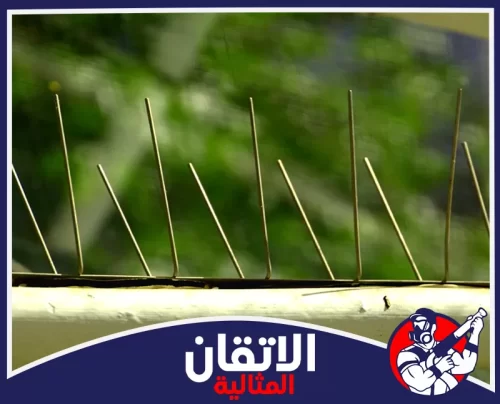 شبك طارد الحمام بالدمام 0567008659 اتقان المثالية أشواك طارد الحمام مثبتة على الحافة في الدمام لمنع وقوف الطيور والحفاظ على نظافة المكان.