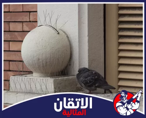 تركيب طارد الحمام للمكيفات بالدمام 0567008659 اتقان المثالية أشواك طارد الحمام مثبتة على حواف المبنى في الدمام لمنع وقوف الطيور وتقليل الاتساخ حول الواجهات.